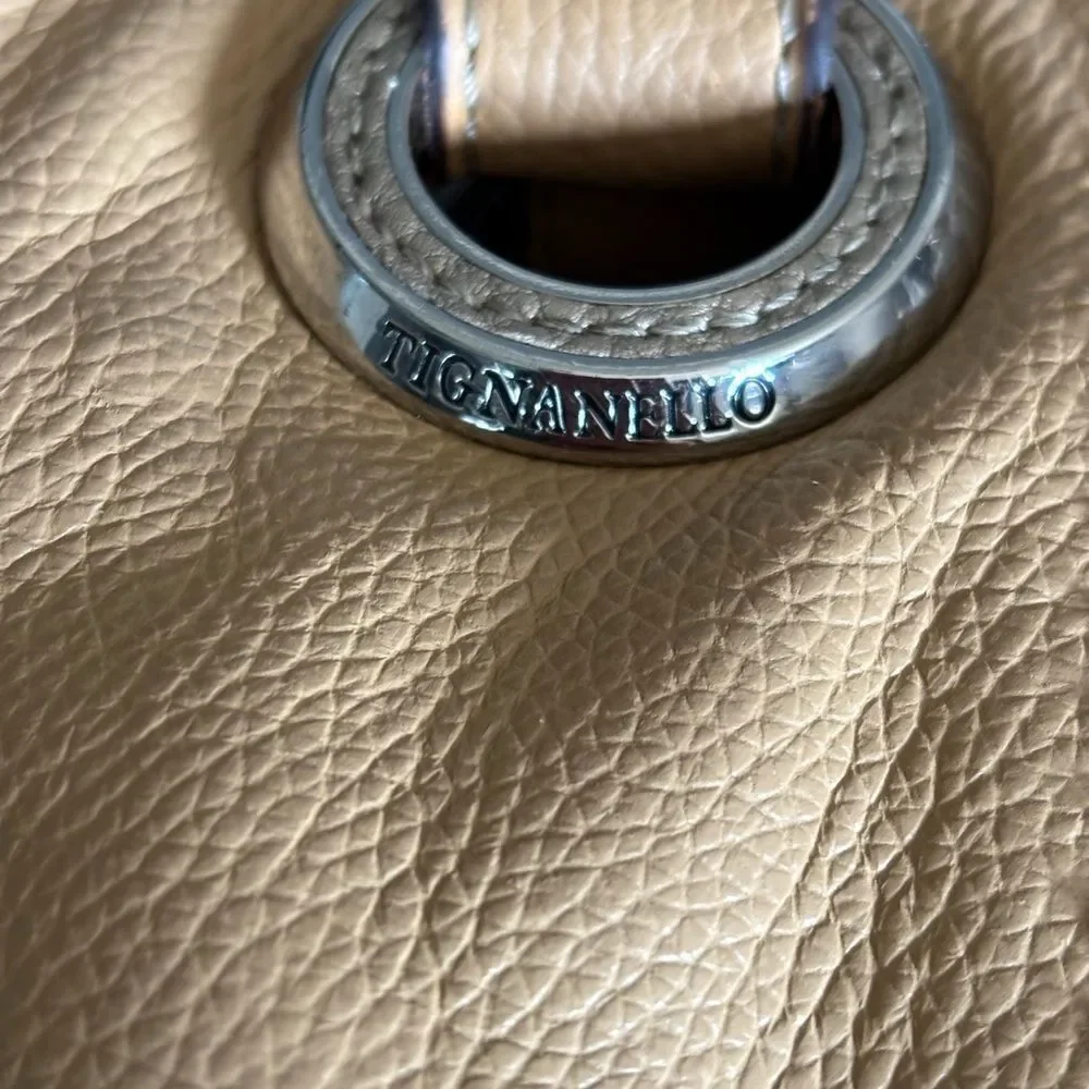 Elegant Tan and Silver Women's Shoulder Bag by Tignanello
